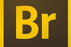 BR数字资产管理软件