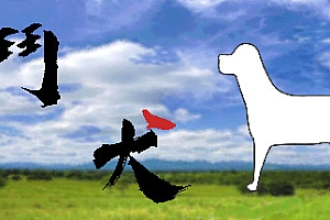 鬥犬/Dog Fighting