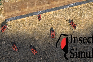 昆虫生活模拟器/Insect Simulator