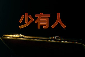 少有人:财务自由之路(Build.9346869)