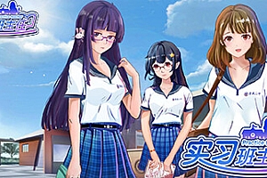实习班主任/Practice Teacher
