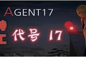 特工:代号17
