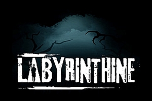 迷宫/迷路Labyrinthine