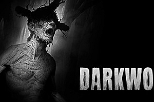 黑色森林/阴暗森林/Darkwood
