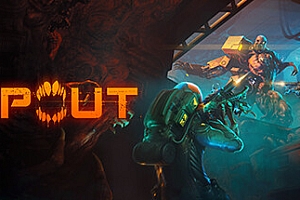 RIPOUT 单机/网络联机