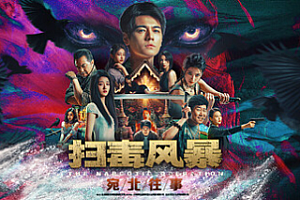 扫毒风暴:宛北往事/The Narcotic Operation